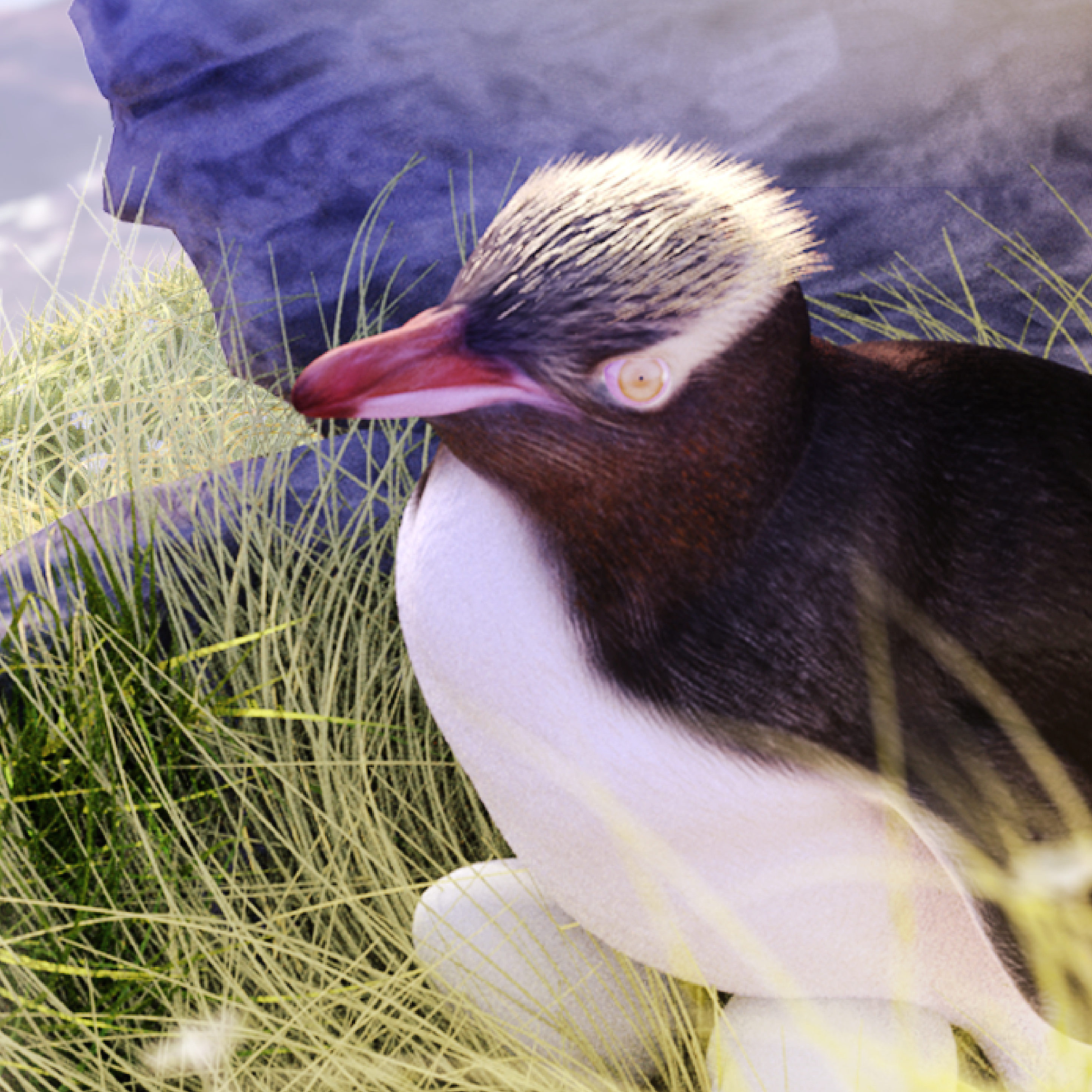 A 3D modeled depiction of yellow-eyed penguins at various points in their life cycle.